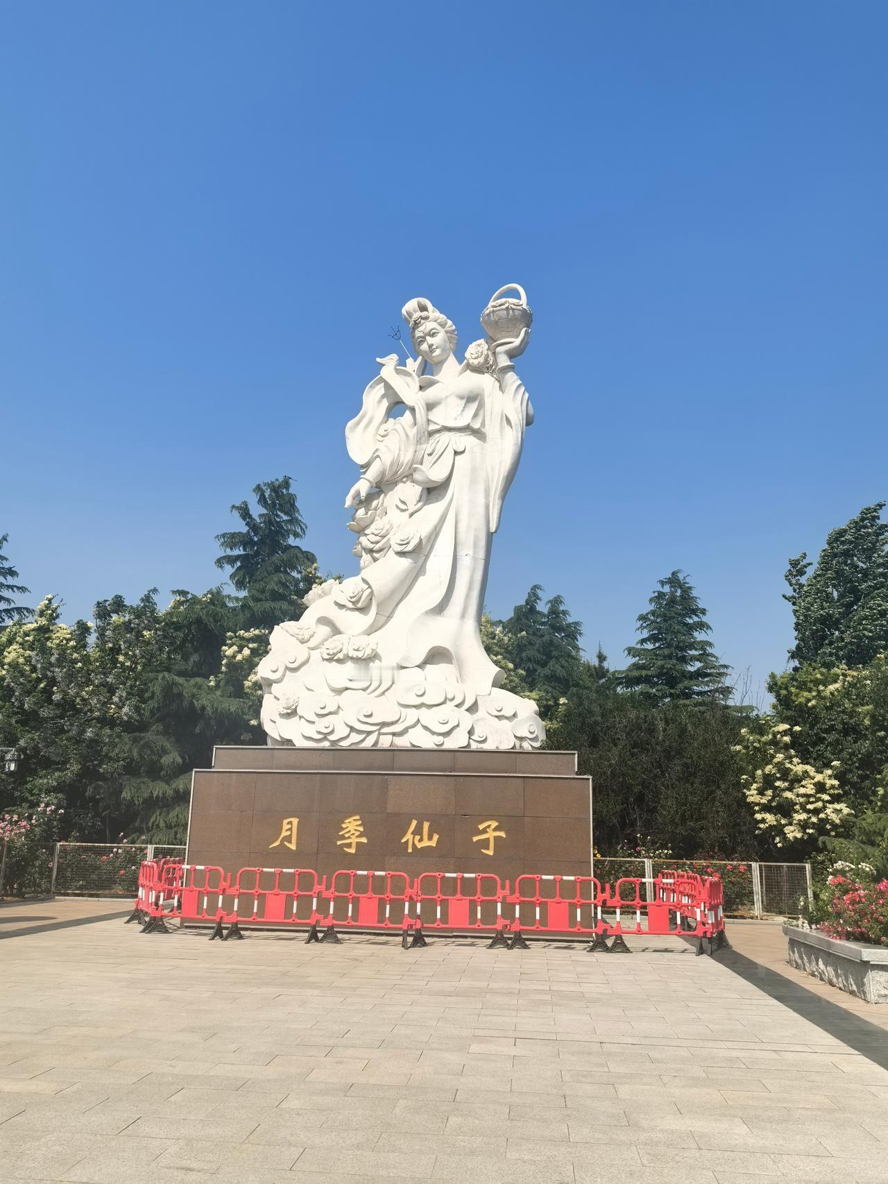 莱州藏着全国月季“基因库”！你家楼下的月季大概率来自这里
花漾莱州·悦见山海寻美
