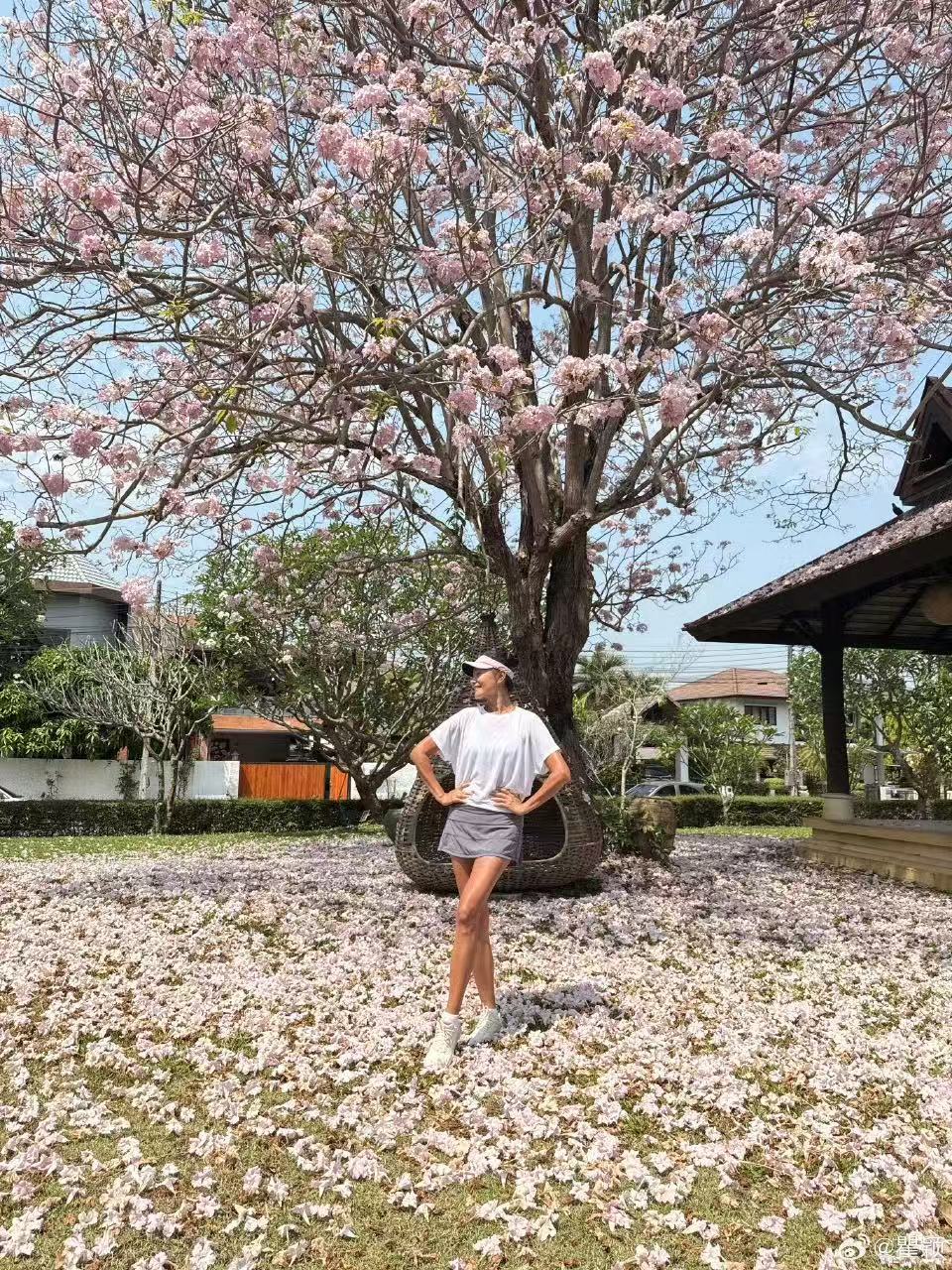 瞿颖风铃花树只为自己原本的样子风铃花盛开，是春天的温柔，也是自我的坚守。它不改变