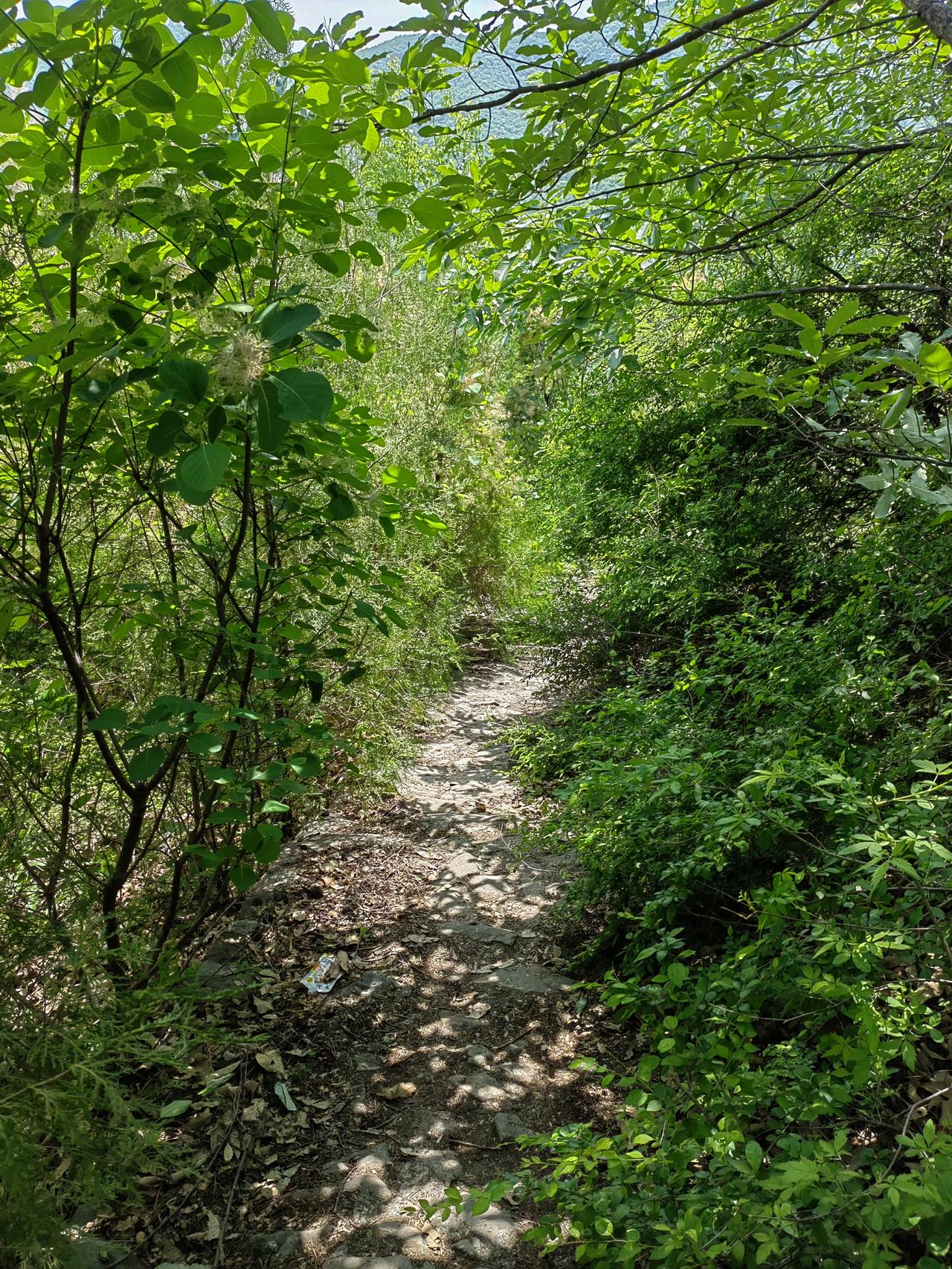 小学四年级时，语文老师脾气火爆，体罚学生是常有的事，一般拧耳朵、用指关节敲砸后脑