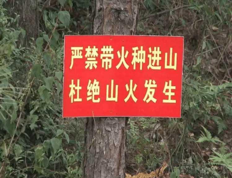 云南临沧、文山突发严重山火事件致人员伤亡，警惕春季山林火灾频发风险

2024年