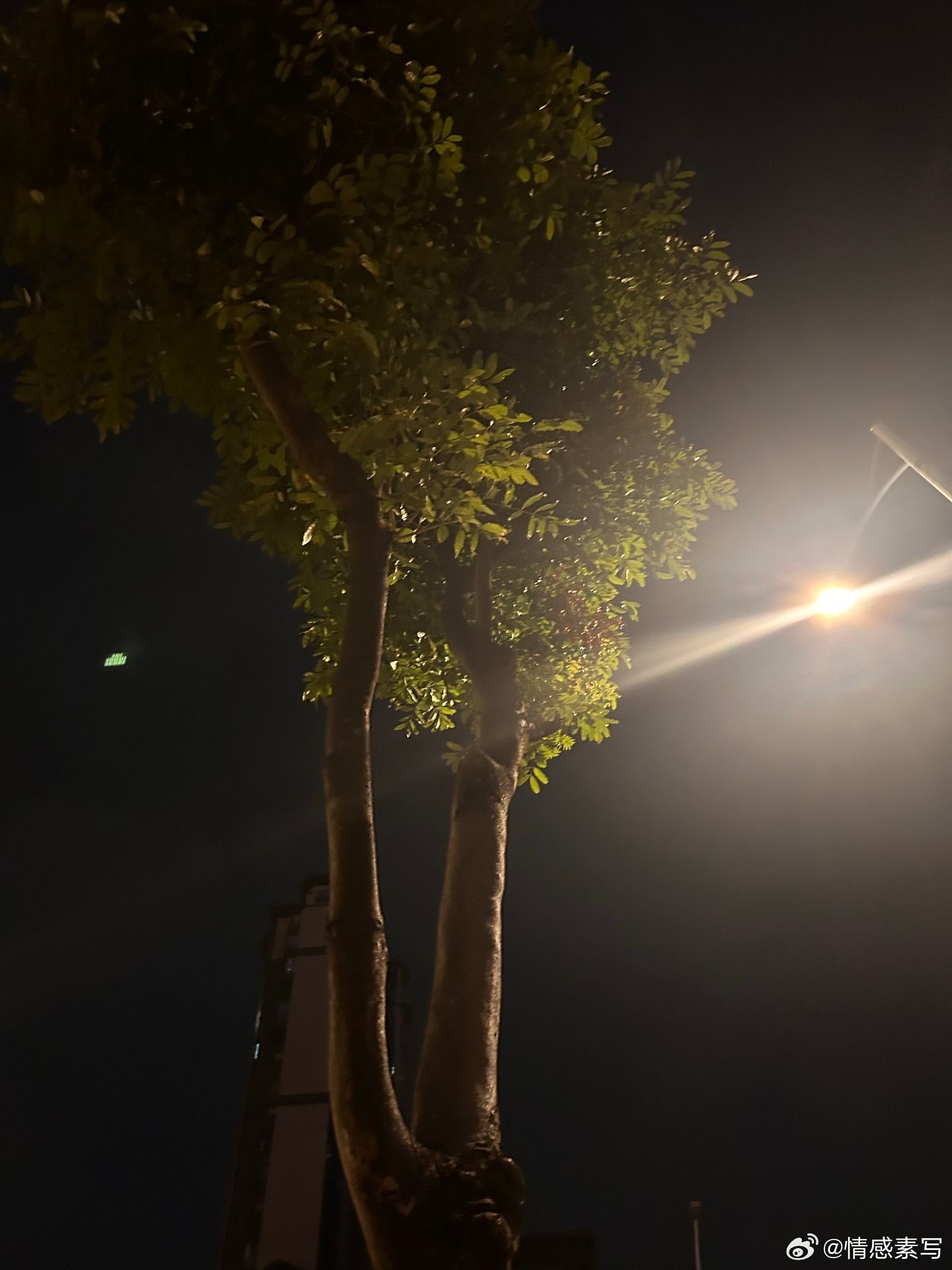 情感 以后我们的关系就这样吧，接下来的日子你不找我，我也不再主动找你了，直到慢慢