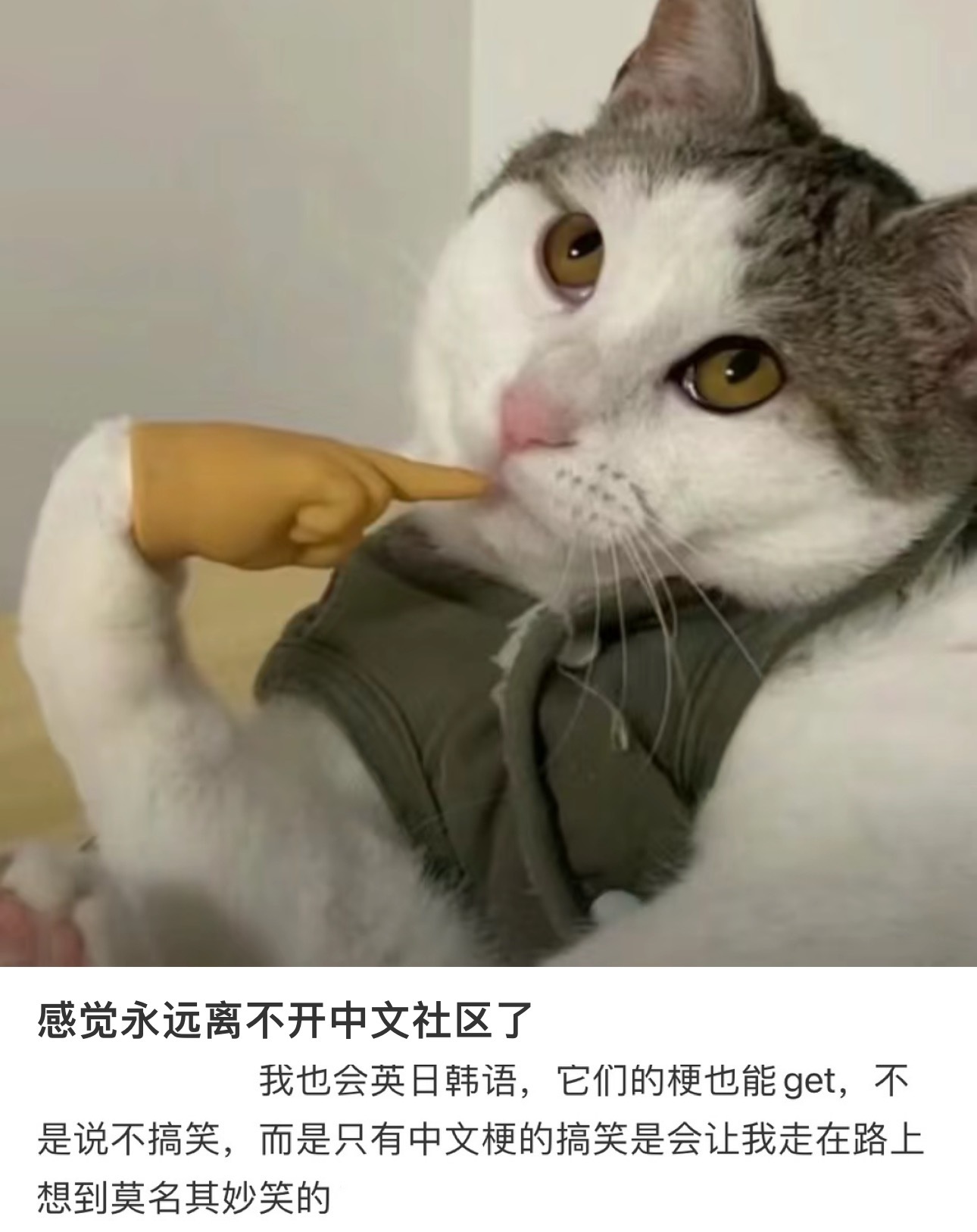 #中文造梗还是太超前了#看到有一个网友说感虽然自己能看懂外语也能get外国人的梗