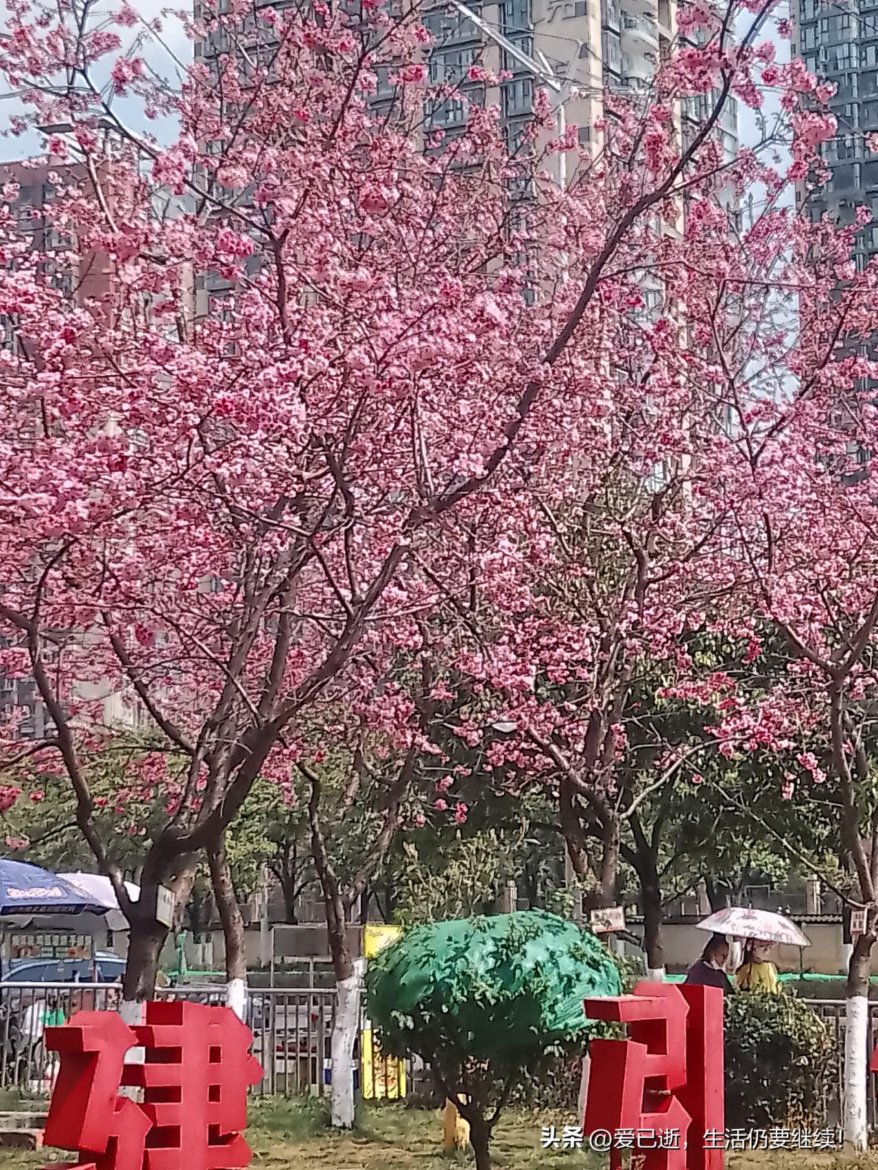 伊朗能扛住美国和以色列的联合打击吗结果肯定是扛不住的。但伊朗肯定会把以色列拉了垫