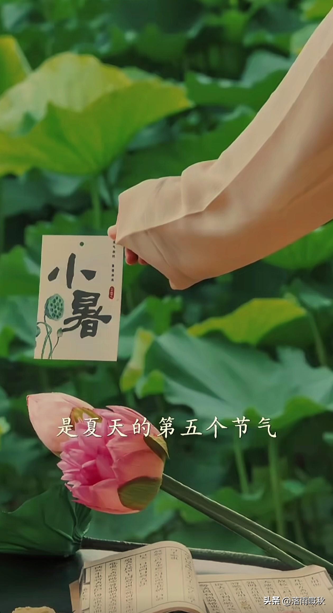 🌿𝑚𝑜𝑟𝑛𝑖𝑛𝑔🌈⛅️

       小暑，夏天的第五个节气