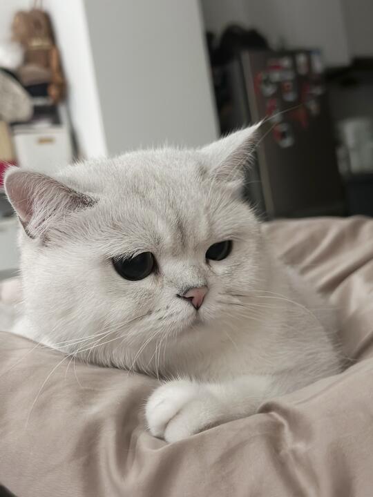 眉头紧皱.