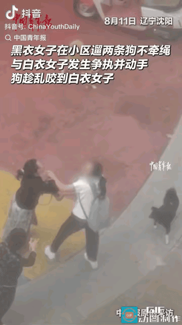 “太恶劣了！”辽宁沈阳，女子在小区遛两条狗不牵绳，一名过路的女子好心提醒她，不料