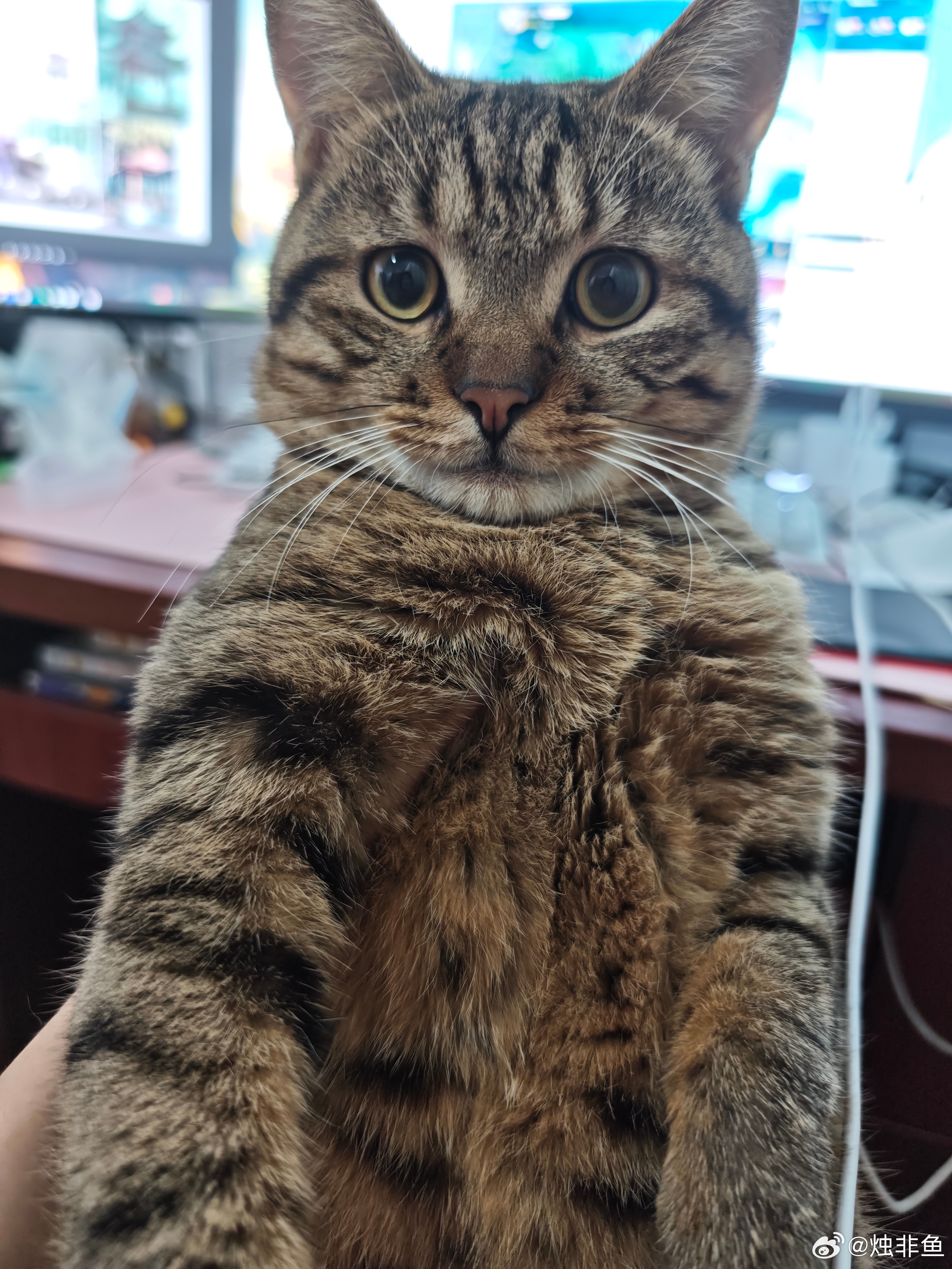 得了流感已经昏昏沉沉好几天了，反复发烧弥补了夏天没法蒸桑拿的遗憾，身上黏糊糊的但