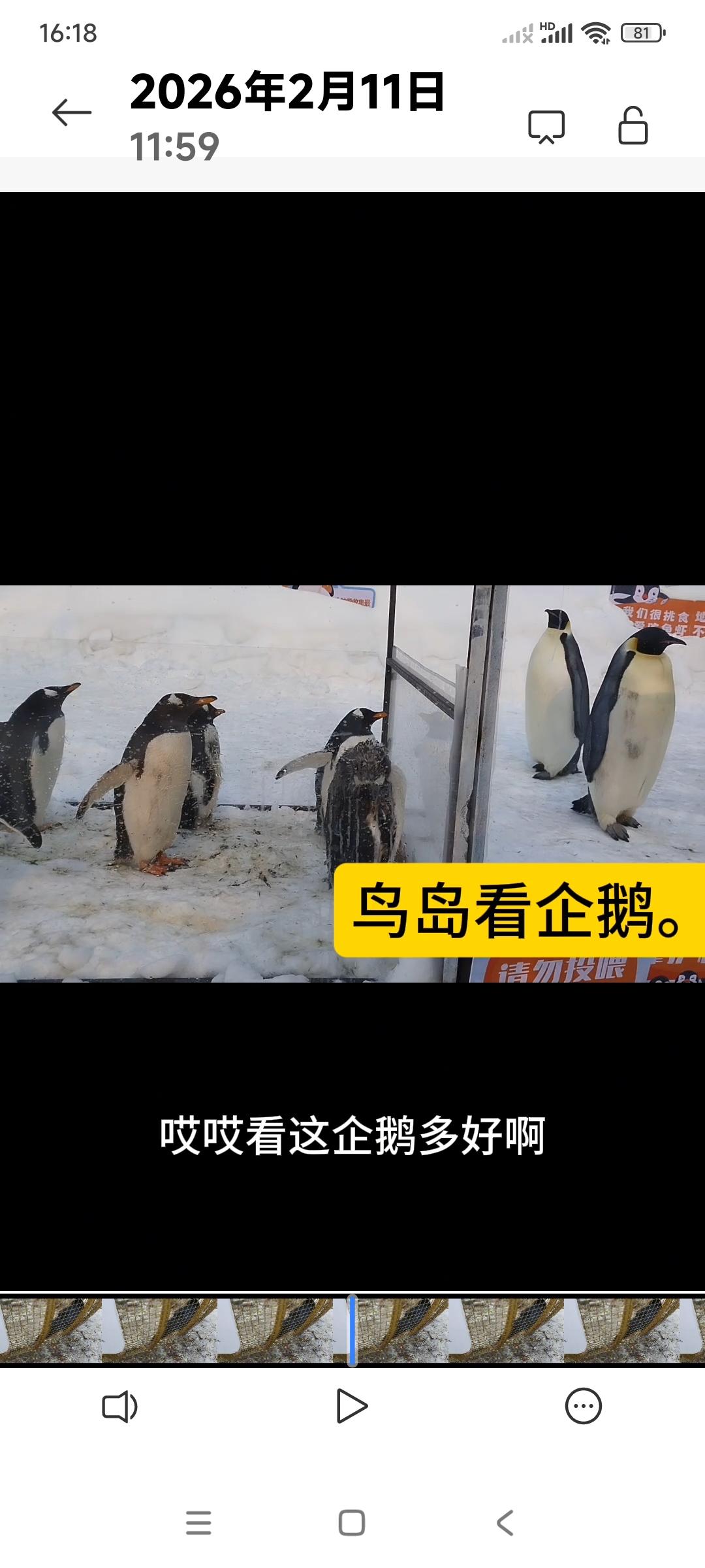 到沈阳鸟岛，看看鸟岛公园冬天是什么景象？

到鸟岛看看南极的企鹅，以前总是在电视