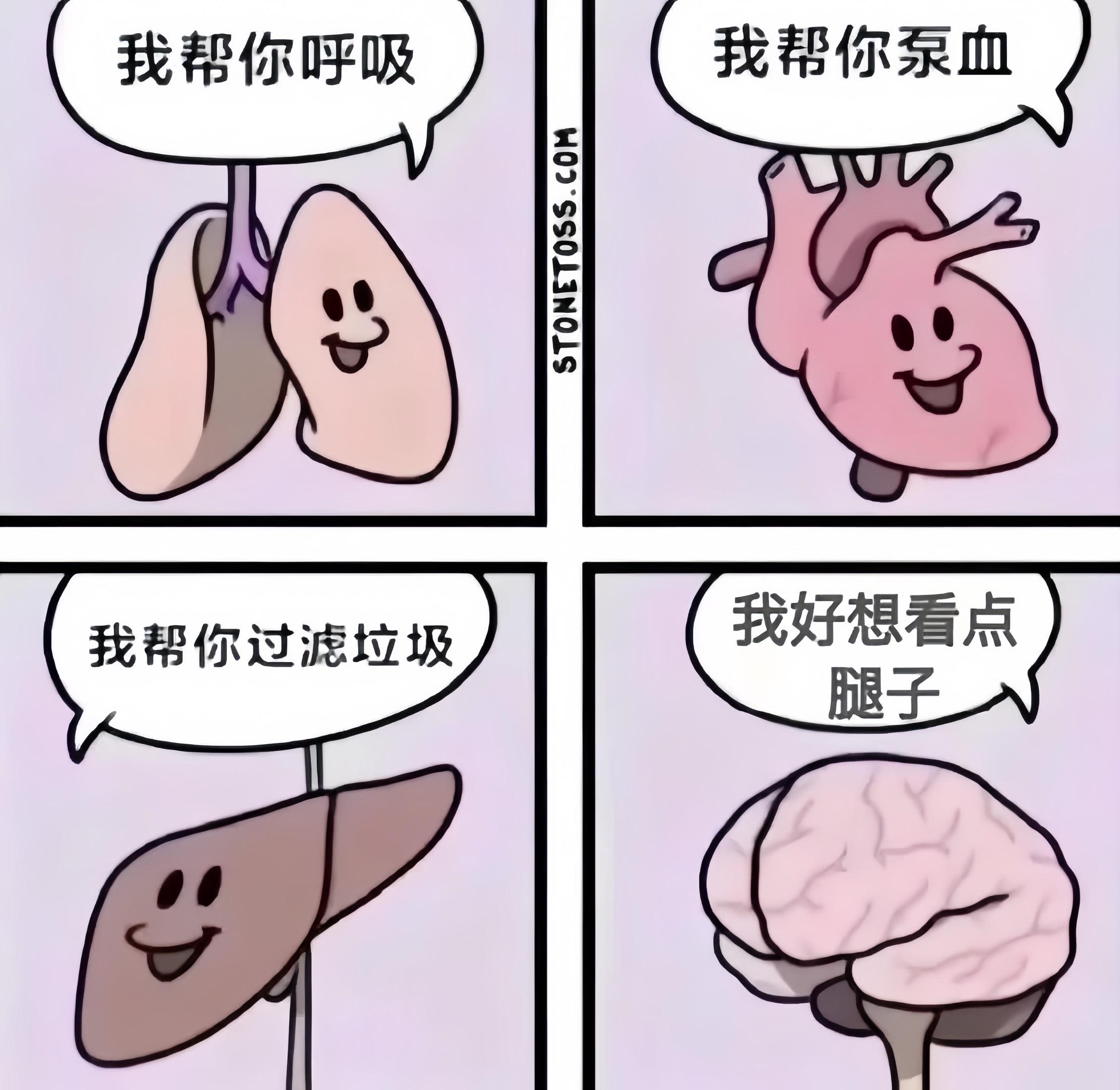 能给你的 只有感觉