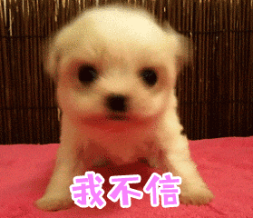 #梁音梦爆料王思聪#啊😧这也就是说王思聪这些个网红女朋友都是他旗下艺人，每次上