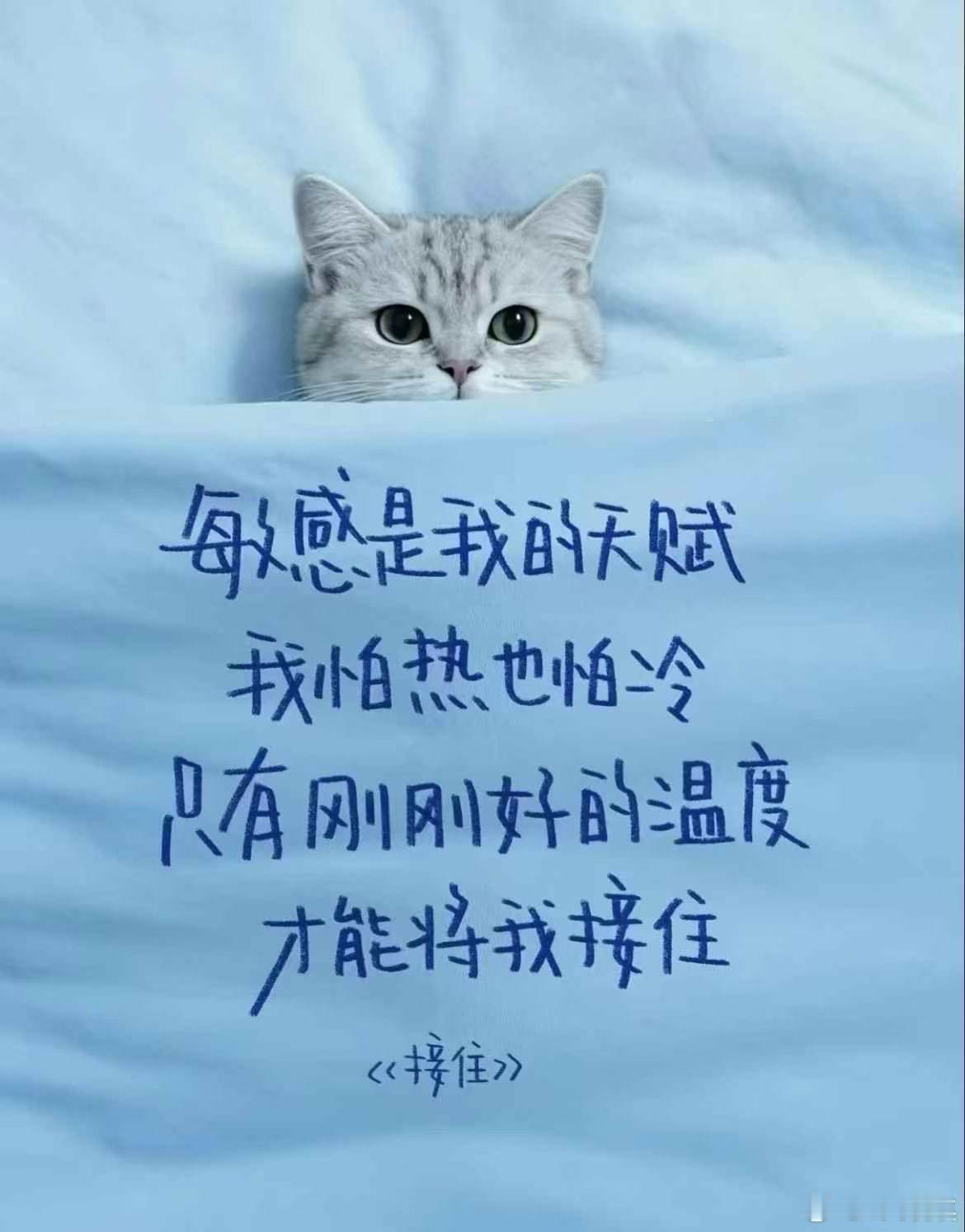 知道自己要什么知道自己在做什么足矣🍀wanan晚安💤 