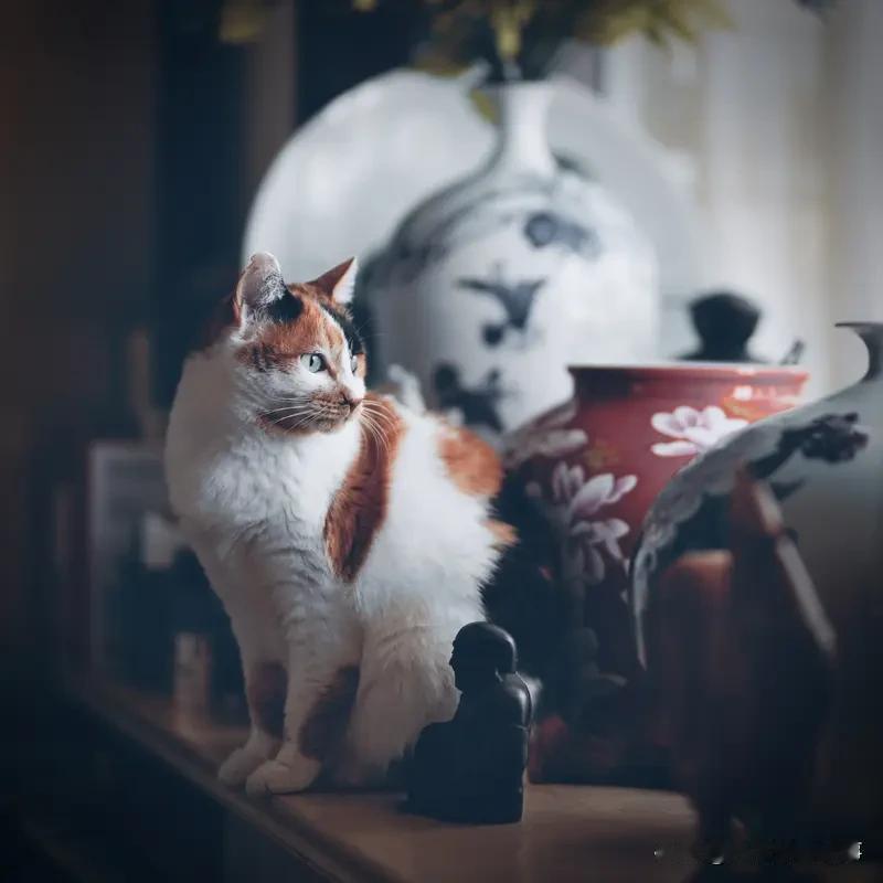 莫让忧扰“绑架”生活，放宽心态，打开快乐之门！
生活宛如一场戏剧，忧扰常常不期而