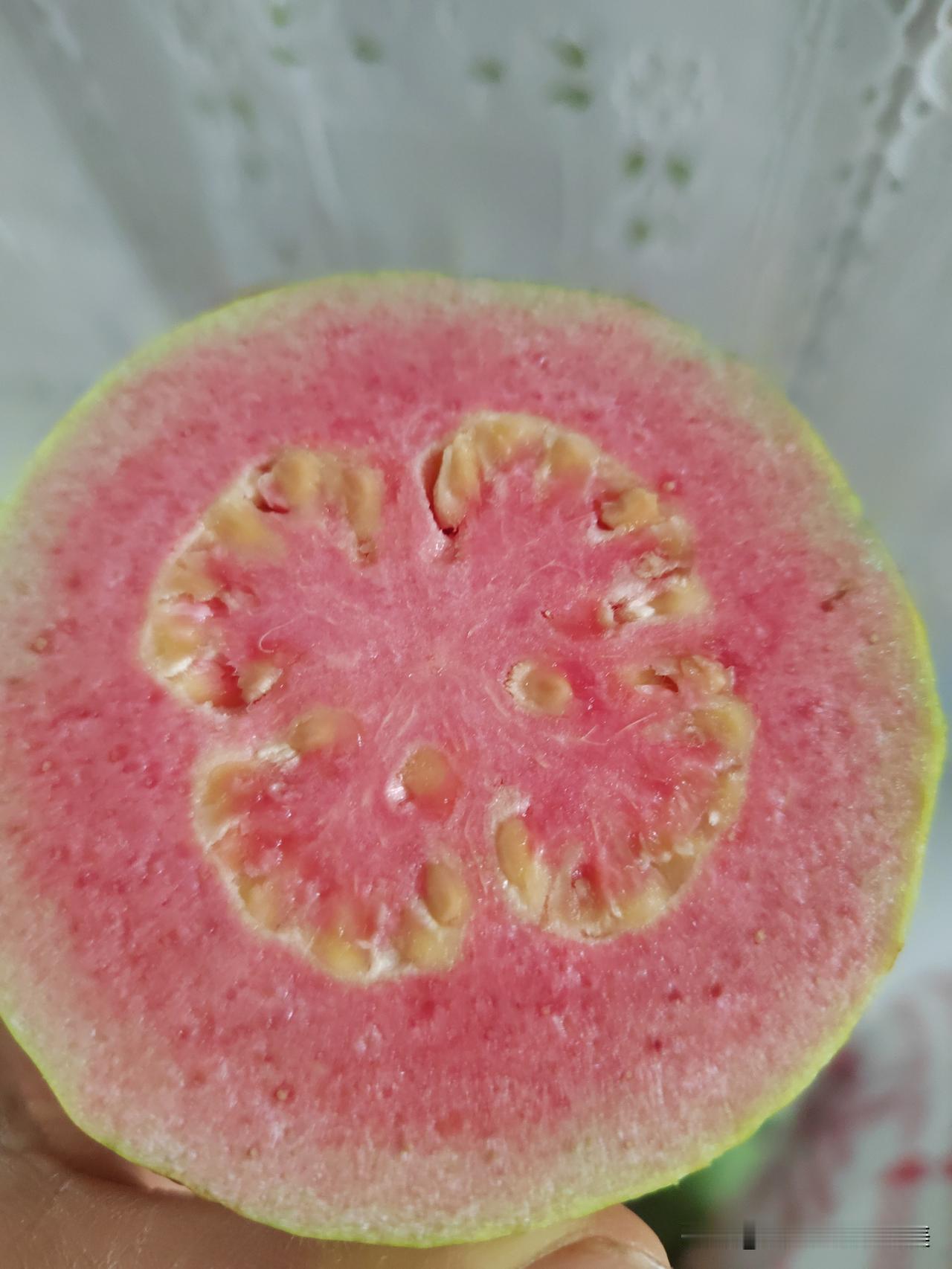 我心心念念的红心芭乐，第一次买，第一次吃。结果很难吃！[捂脸][捂脸]