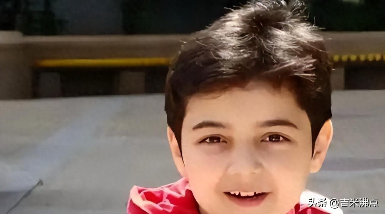 头发稀了，春晚没了，他现在在草原上唱歌。
阿尔法今年28岁，不是网上说的“糊了”