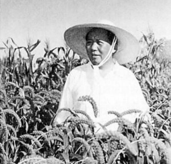 曾为毛主席理发十七载，周福民在中南海工作多年，一生心怀感恩，深深怀念毛主席
19