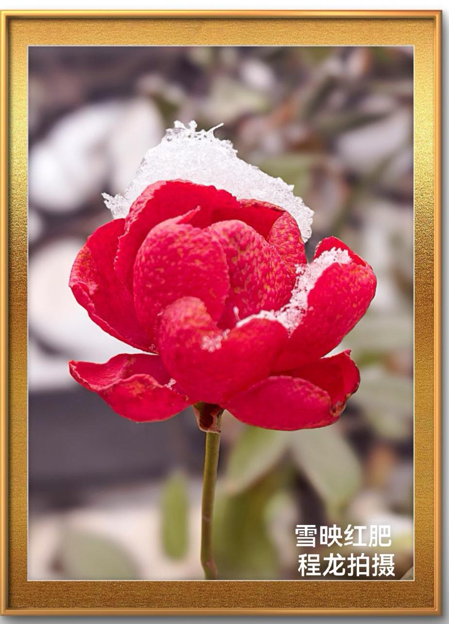 我们的媒体要跟上，你不说话，别人就胡说八道了。一个世纪以来，西方媒体控制舆论场，