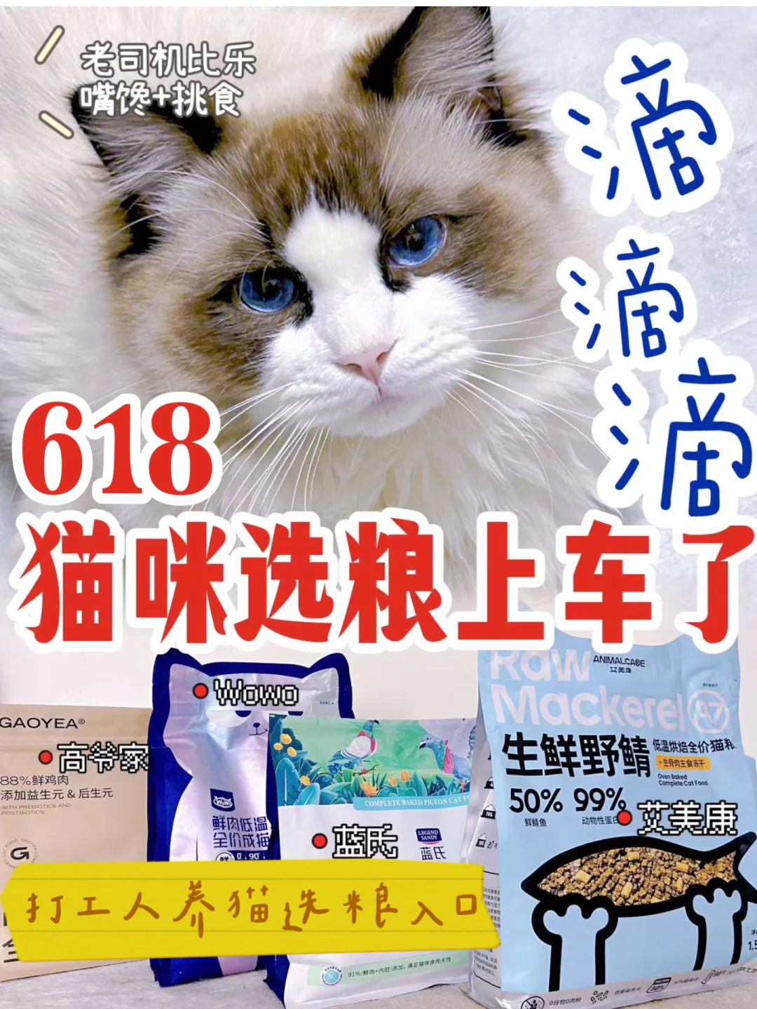 新手养猫丨如何正确选猫粮，国产粮篇