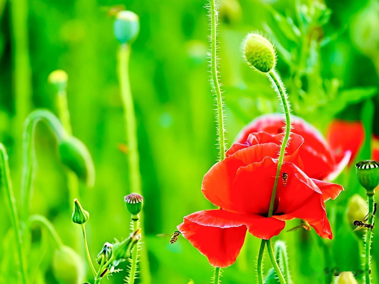 活着和生活是两回事你同意吗同意。活着只为温饱苟全，被动应付烟火琐碎；生活心怀热爱