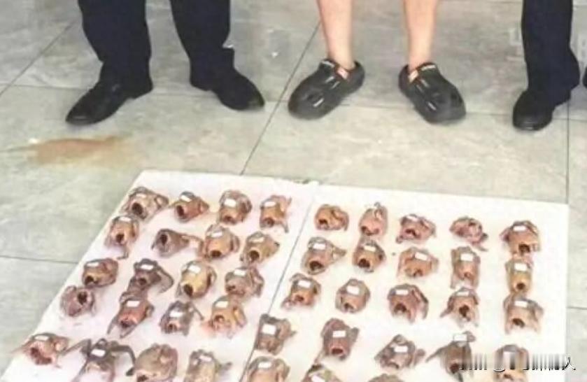 11月27日报道，江苏男子赵某（化名）被抓了，因为他用弹弓打死了45只鸟，全囤在