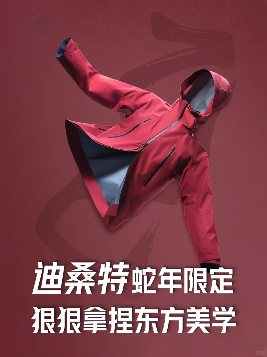 迪桑特蛇年限定，狠狠拿捏东方美学