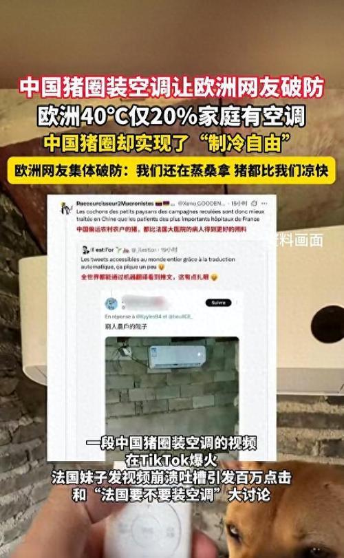 中国的猪夏天都享受到空调，而欧洲这些发达国家却有那么多人被热死，能不破防吗

欧