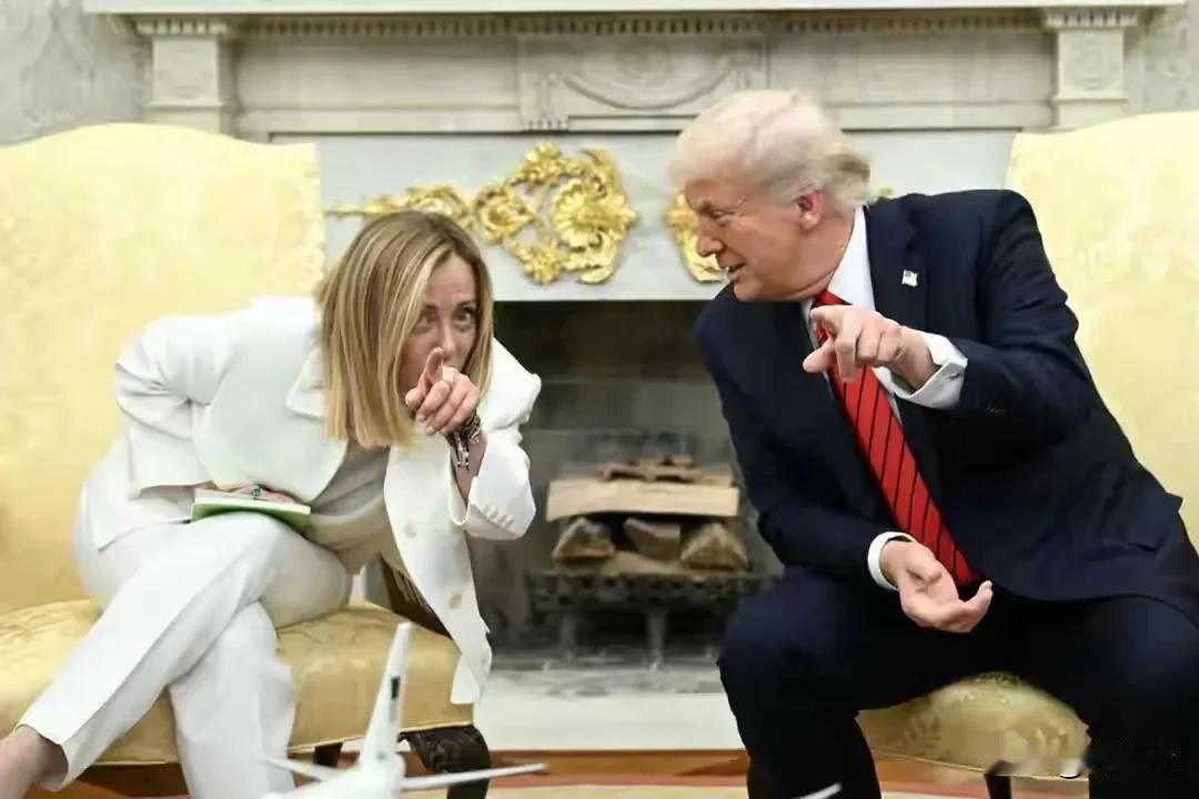 G7会上特朗普傲娇了，他揶揄意大利总理梅洛尼
她乞求我与她合影，我实在可怜她了才