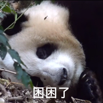 不能再陪这个845熬夜了，年纪大了，以后我要紧跟允汁的脚步入眠。晚安🌙 