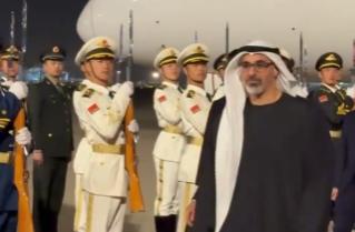 阿布扎比的王储来了。专机在北京降落的那一刻，这位酋长心里怕是不太好受。不是因为我