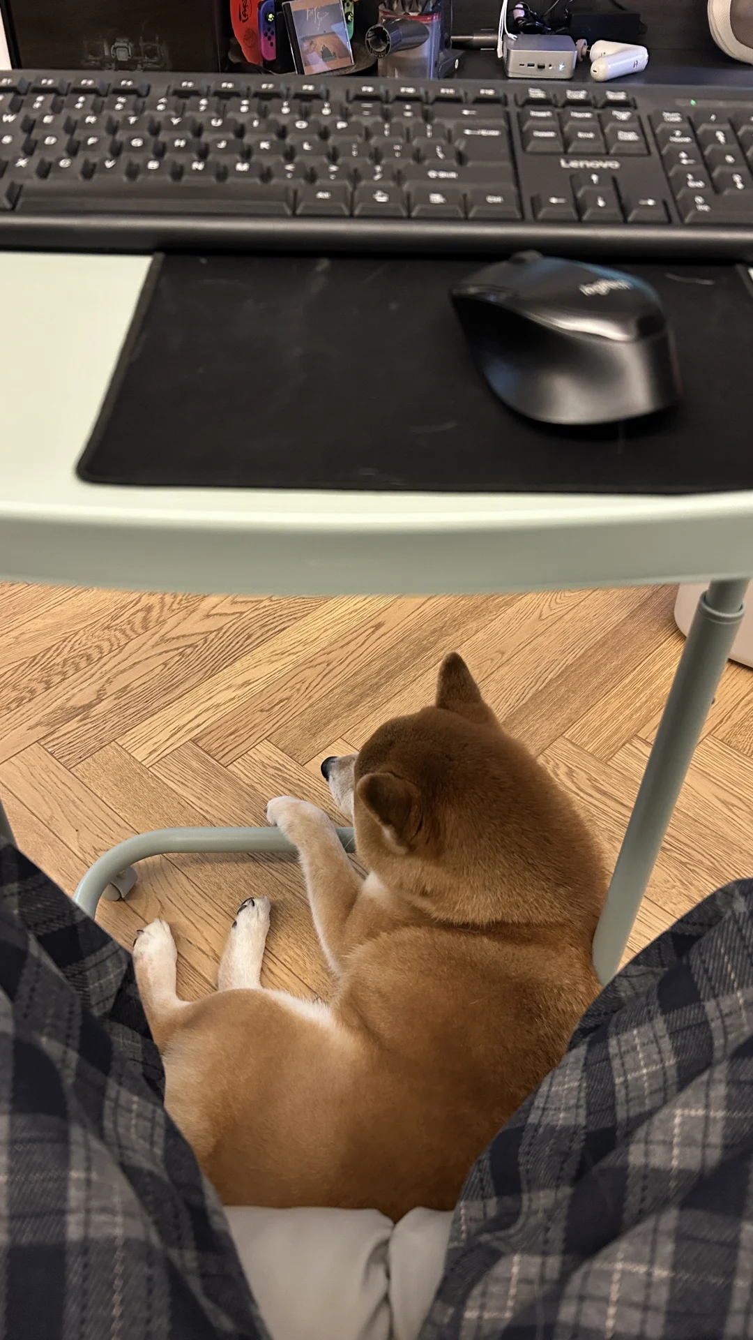 黏人的加班搭子