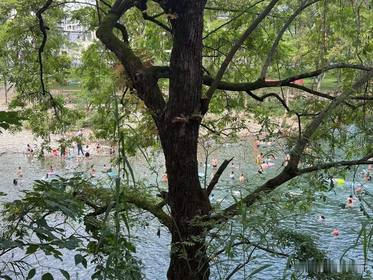 下课之后，这才是夏天应有的模样。
图文原创：新都区摄影艺术协会 白冰
夏日生活打