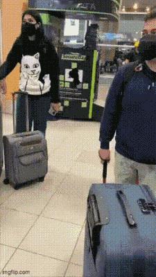 上链接！