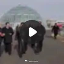 给你分享了「新义州温室综合农场竣工典礼」网页链接