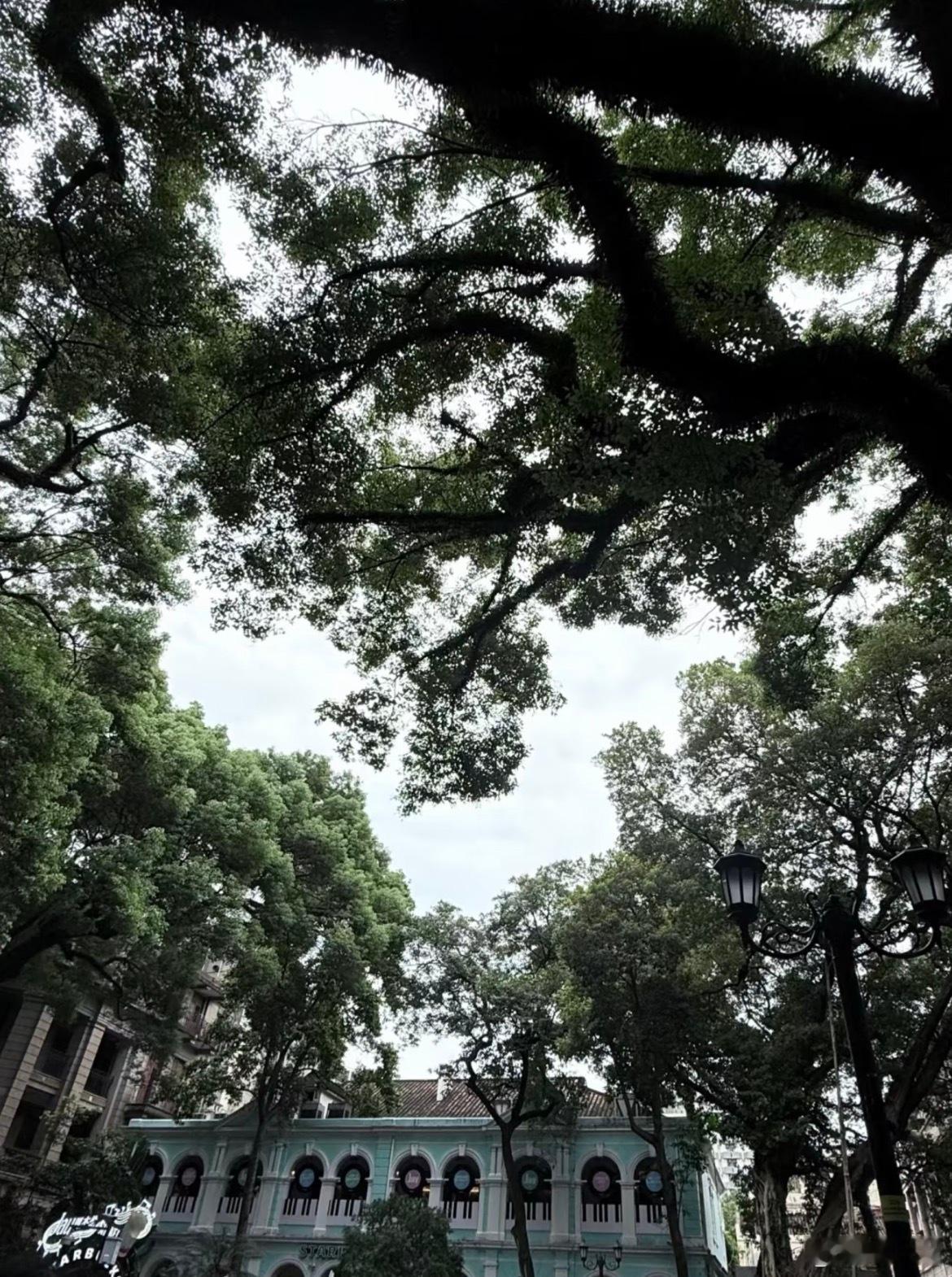 你一p我一p到了景点全懵圈提名沙面这个心形，看别人的照片都是很标准的爱心，结果一