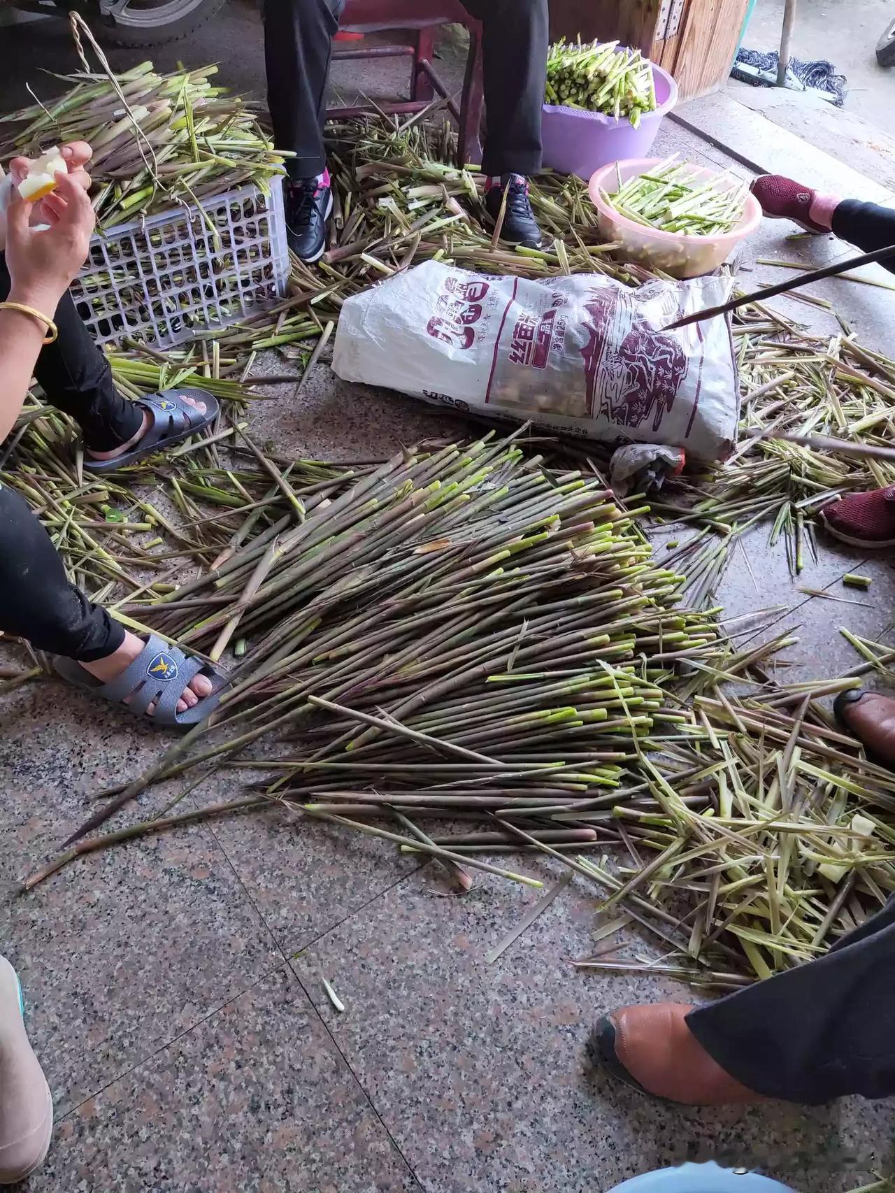 大自然的馈赠，五一劳动成果[奸笑]