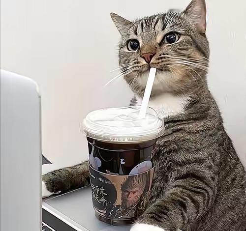 发现朋友的智商是真高，朋友住在三楼，四楼总有人往下泼脏水，有一次，他刚洗好的衣服