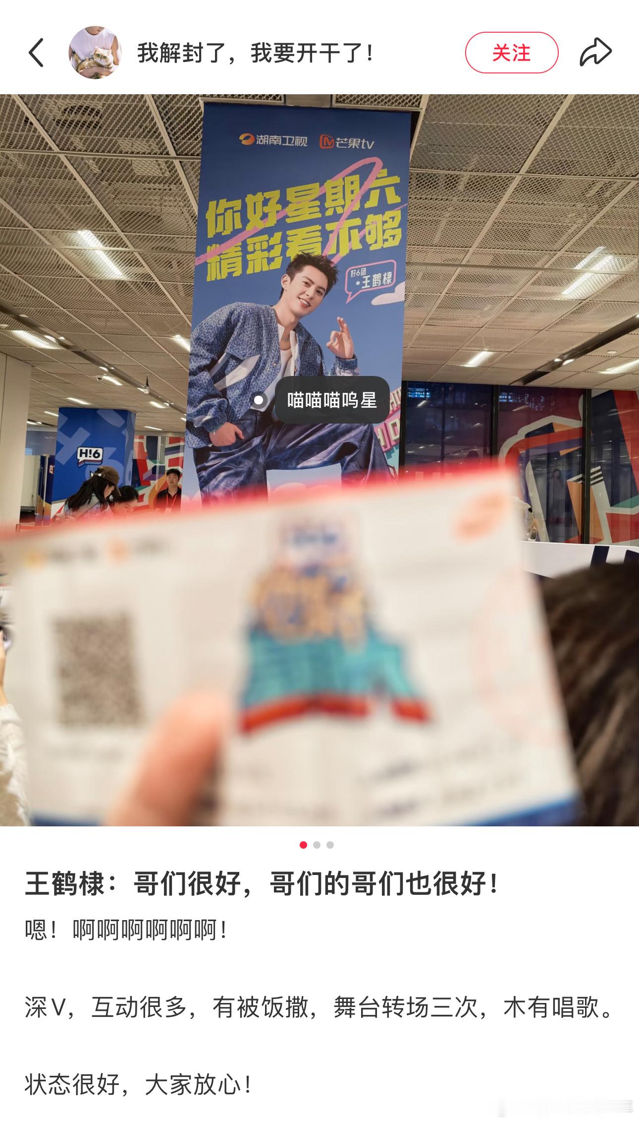 粉丝参加hi6，说王鹤棣在台上报平安：哥们很好，哥们的哥们也很好。全场沸腾。 ​