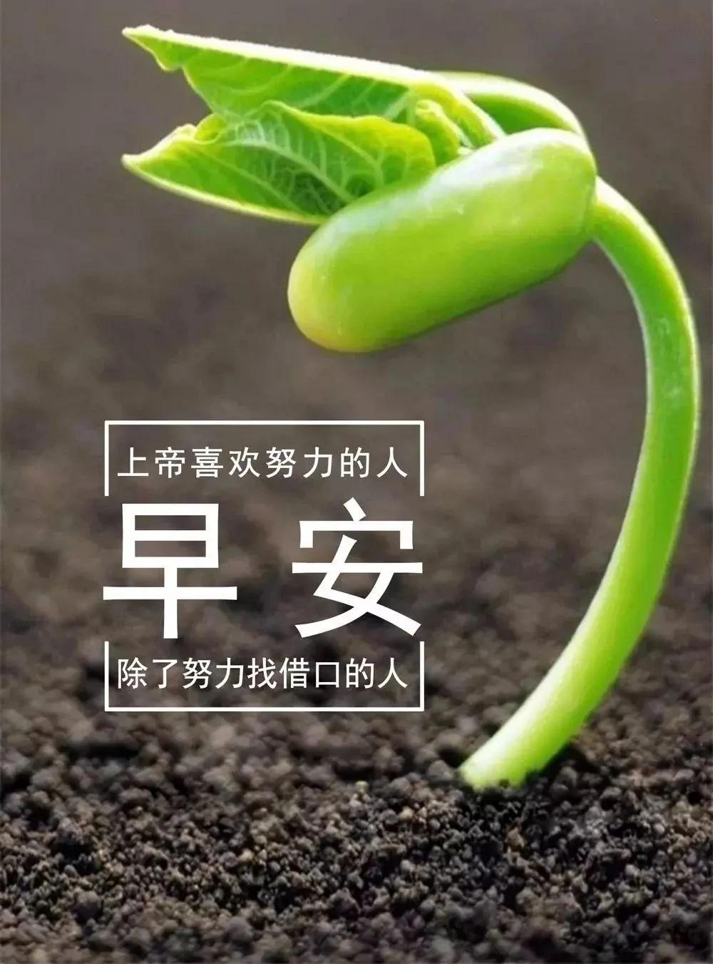 [太阳]【满满的能量】[太阳]
再远的路，走着走着也就近了；
再高的山，爬着爬着