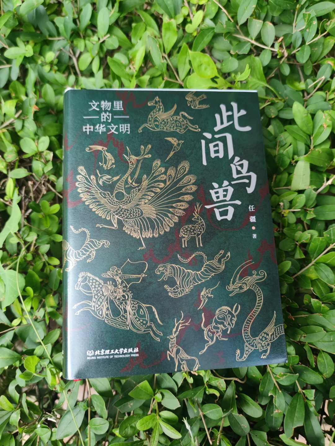 文物里的中华文明：在动物中感受文明的印记