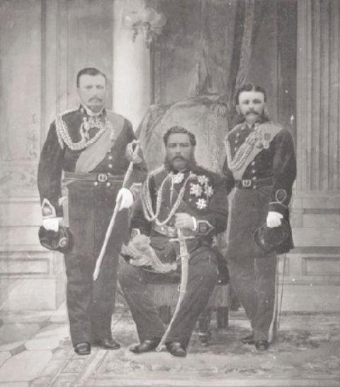 1881年，夏威夷国王卡拉卡瓦一世在环游世界的途中途经中国天津，受到了时任北洋大