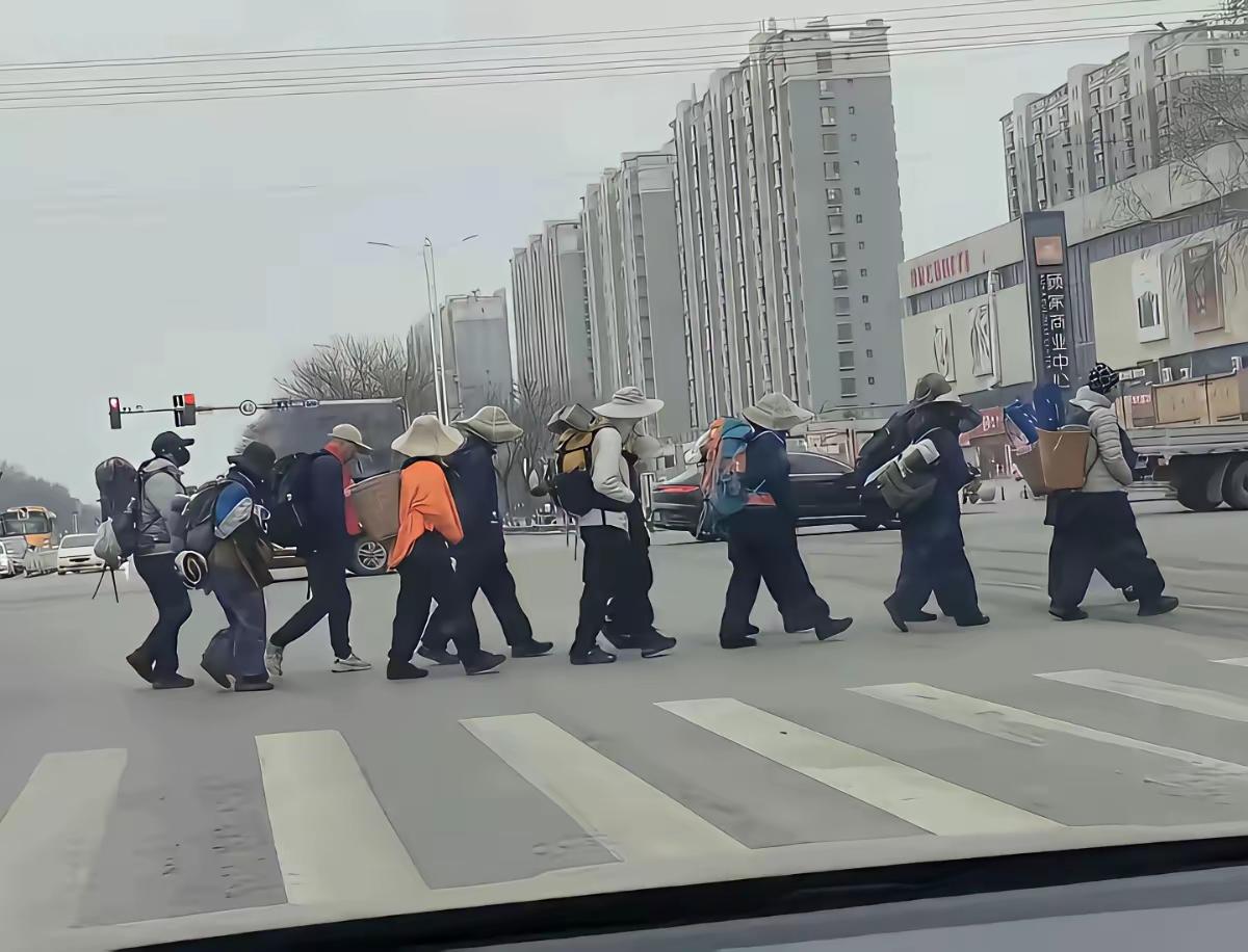 这些走街串巷的背包客，有人说他们是搞电诈的！有人说他们是日本间谍……就是没有人说