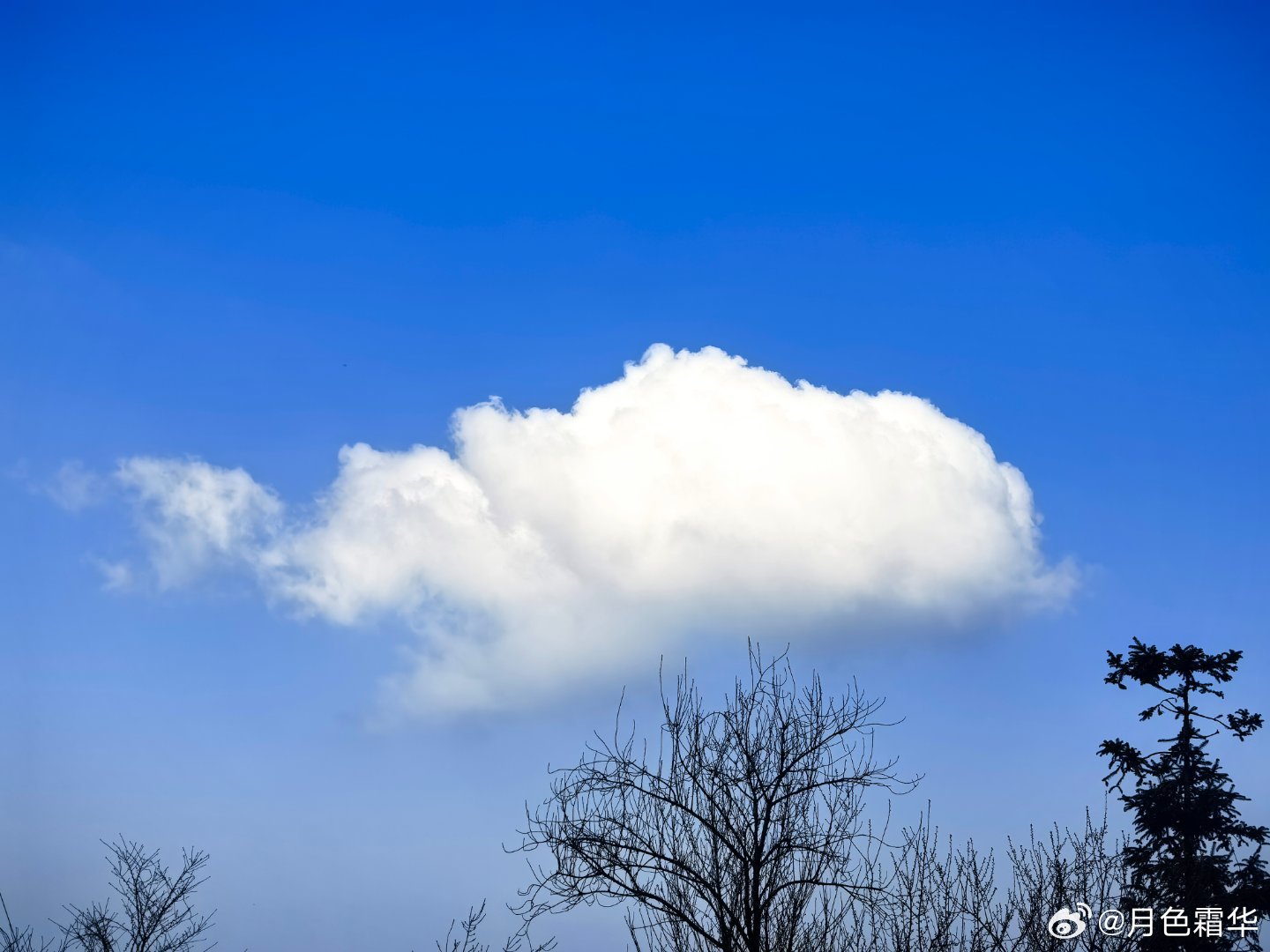 看鲸鱼在天上飞。随手拍天空