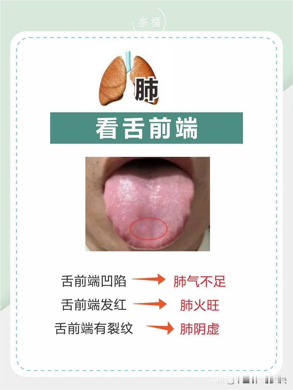 中医舌诊怎么看：
1️⃣心脏不好—看舌尖；
2️⃣肝脏不好—看舌边；
3️⃣脾脏
