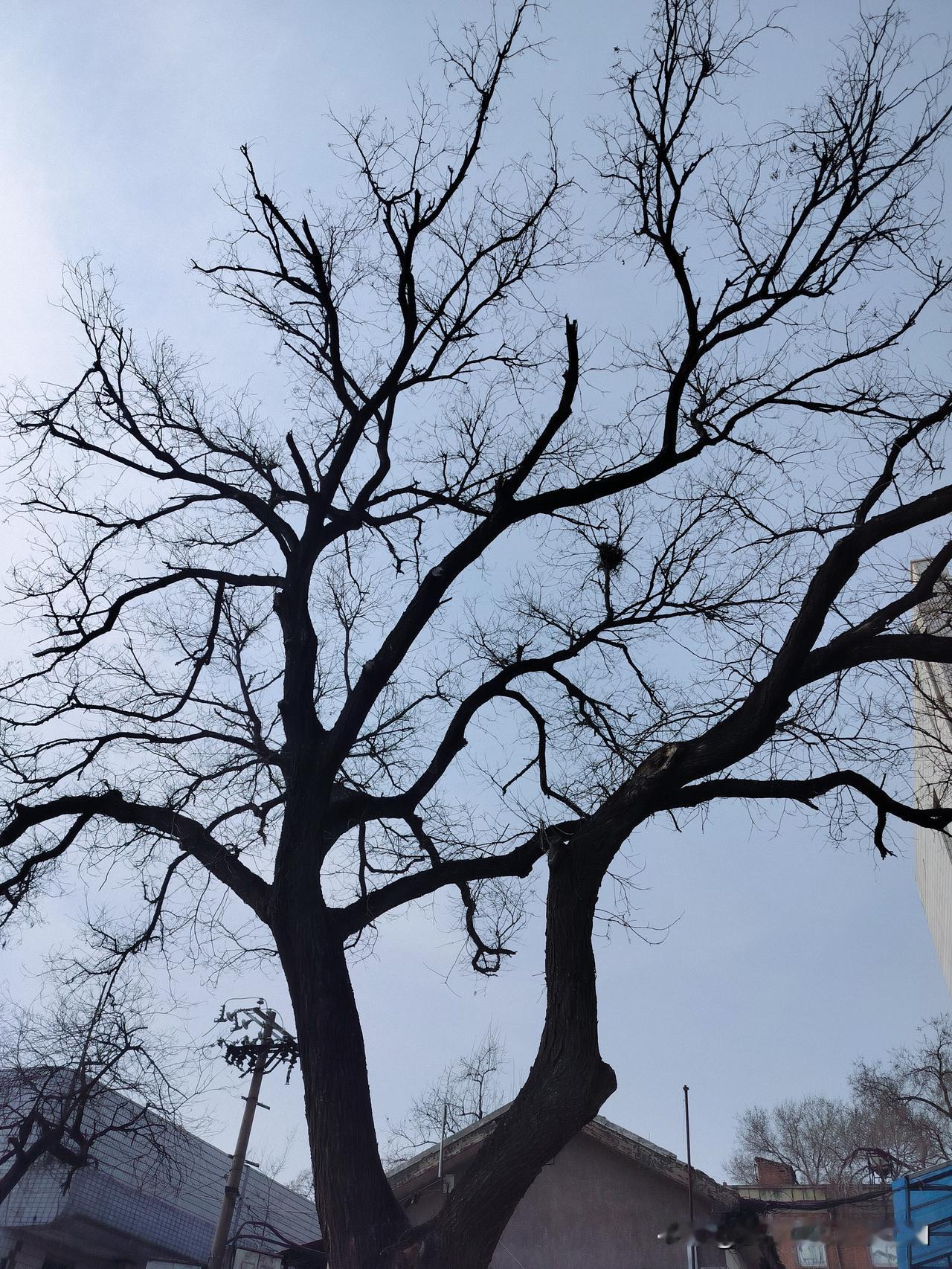 分享一下你随手拍下的照片