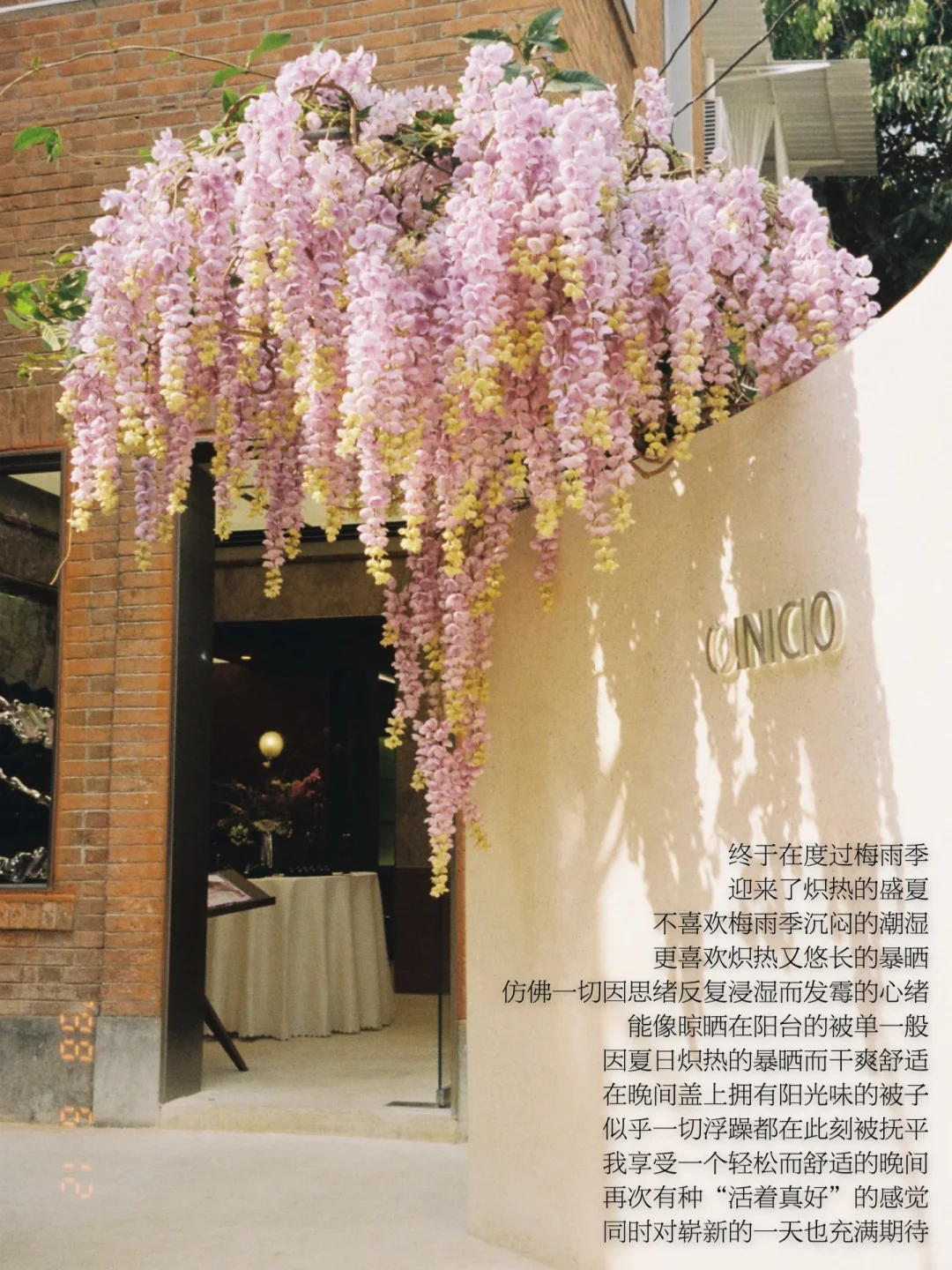 去感受阳光普照的灿烂，去活在夏日的热烈。