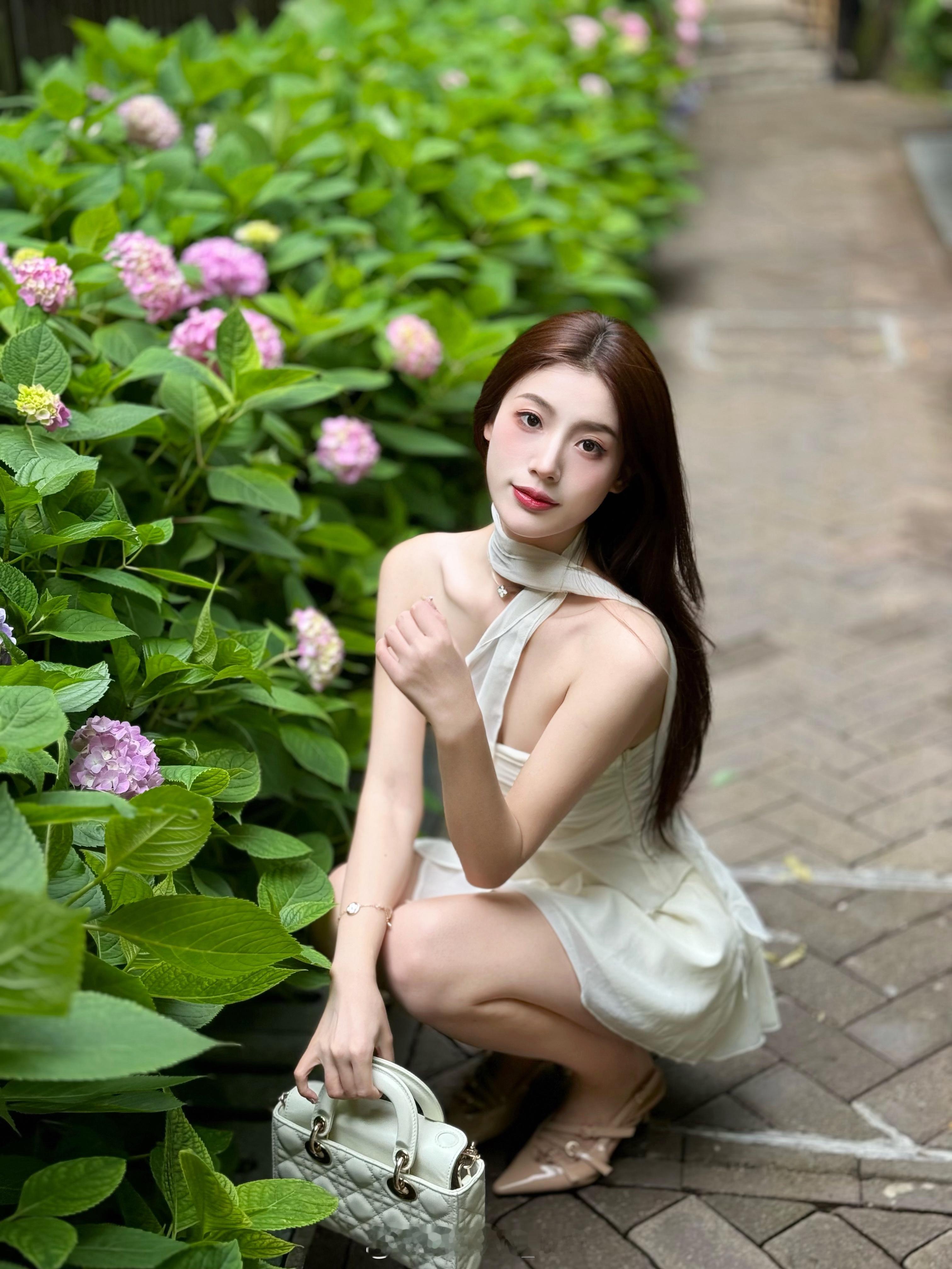 吹来好运🌳  ​​​