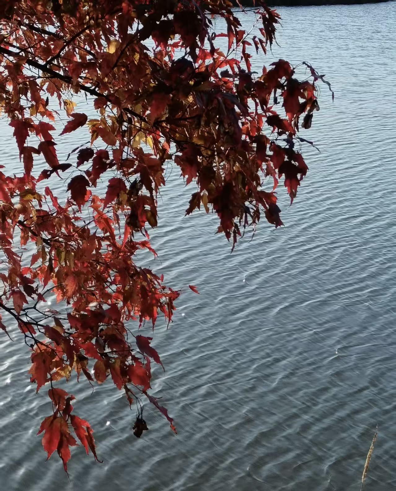 晚上听了一个老师的直播，他卖10年合伙人产品的，价格大几千上万吧。虽然听得我热血