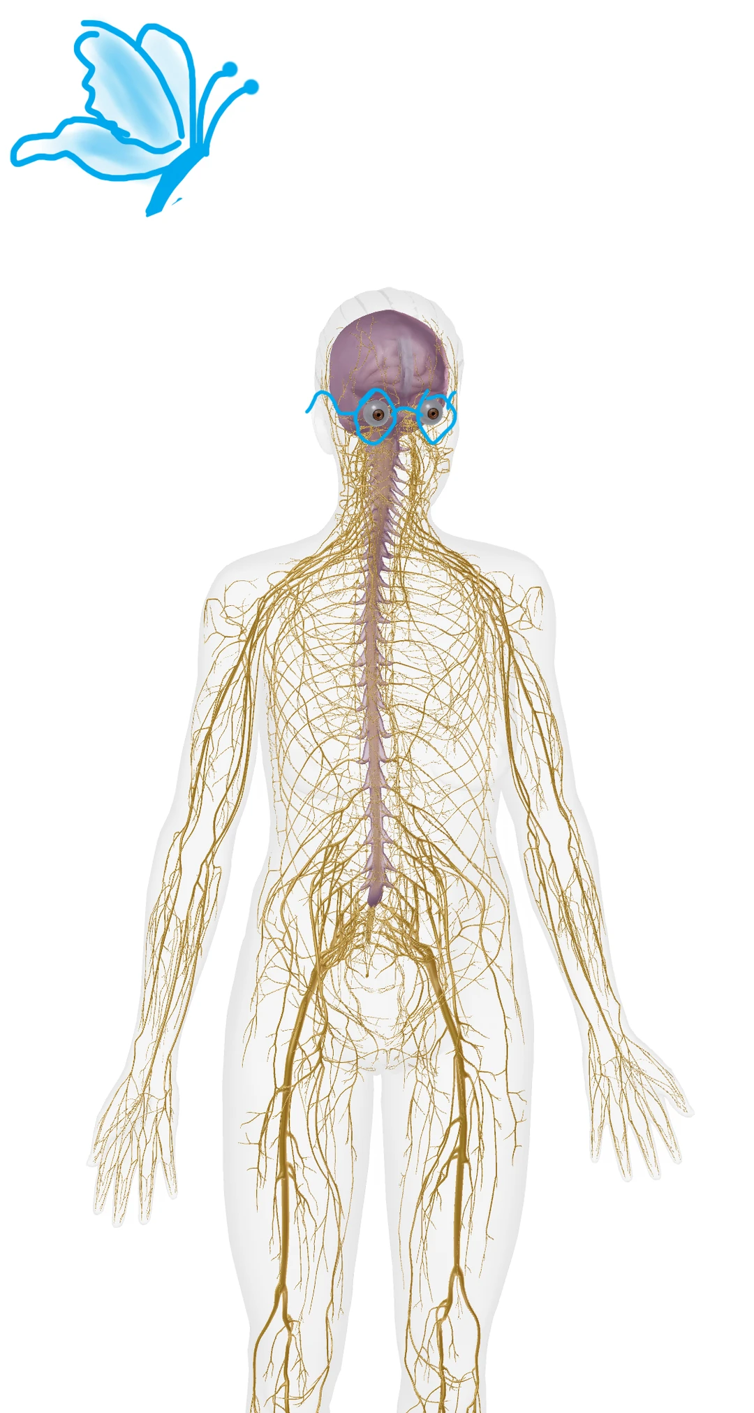 眼睛的退化，是现代人最容易被忽略的健康漏洞之一。 耳、鼻、口、眼睛，都...