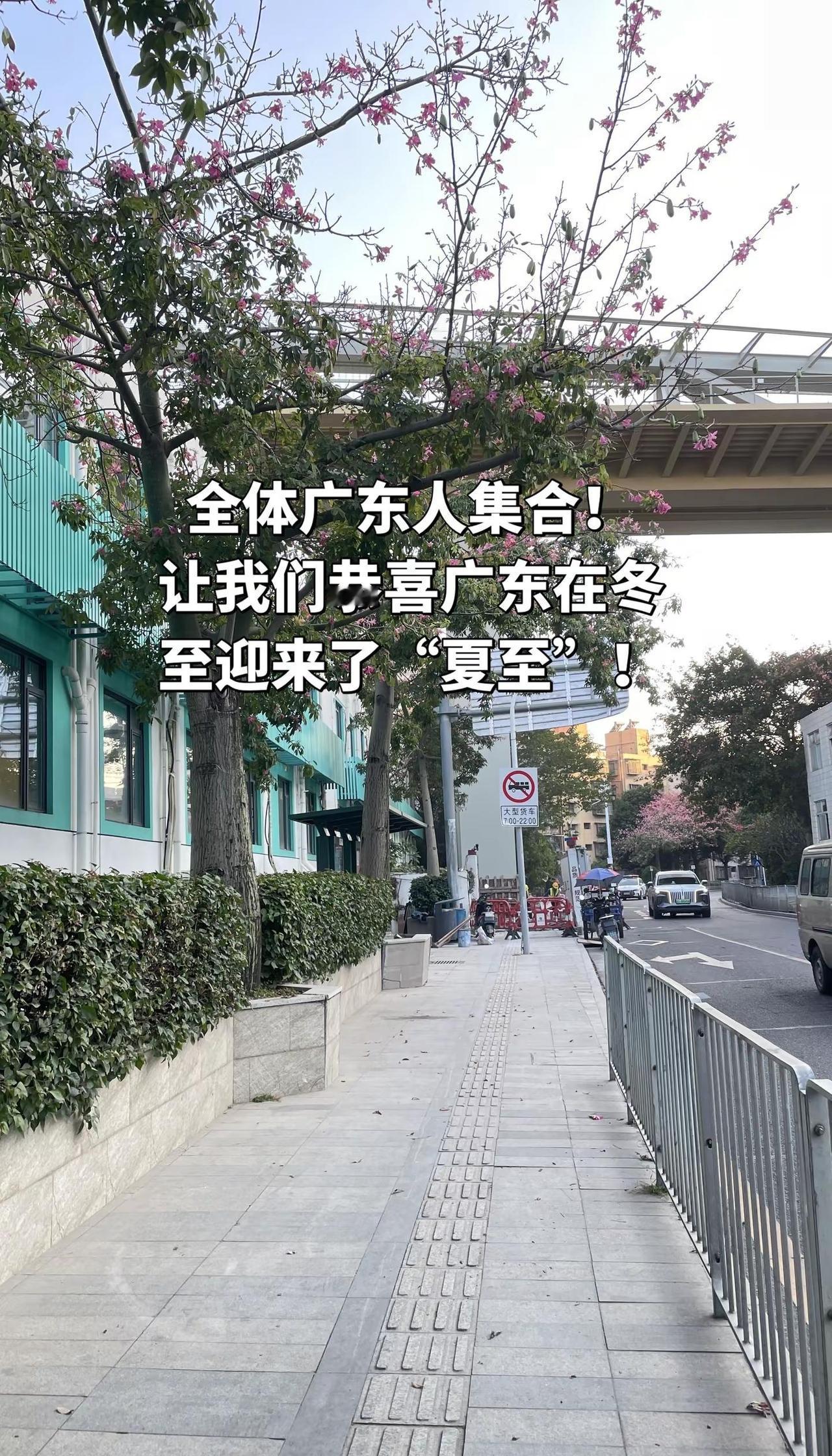 全体广东人！让我们恭喜广东在冬至迎来了“夏至”！广东 天气