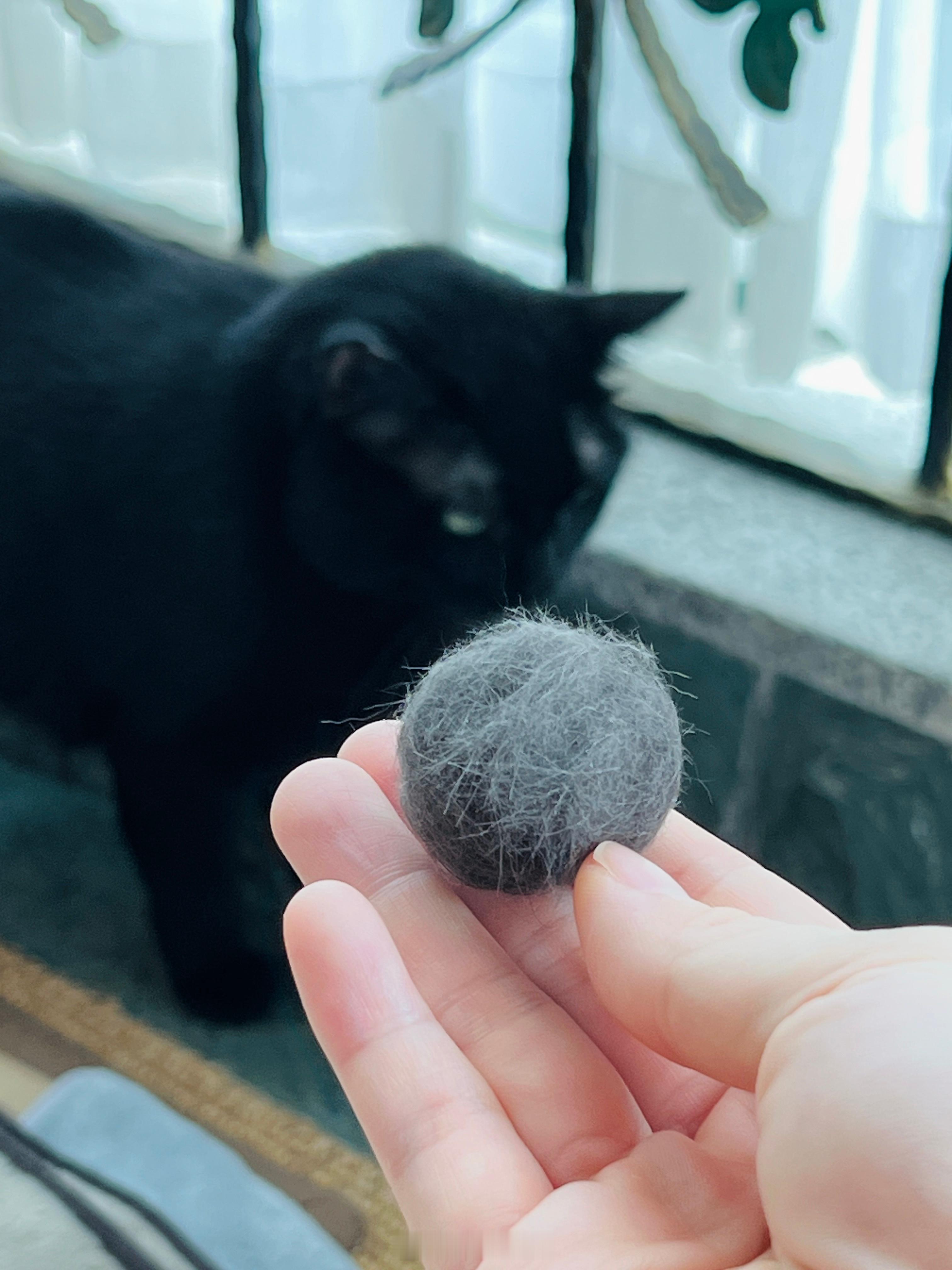 上午製作了一口蝦丸⚫️#蝦蝦不可以太可愛# ​​​