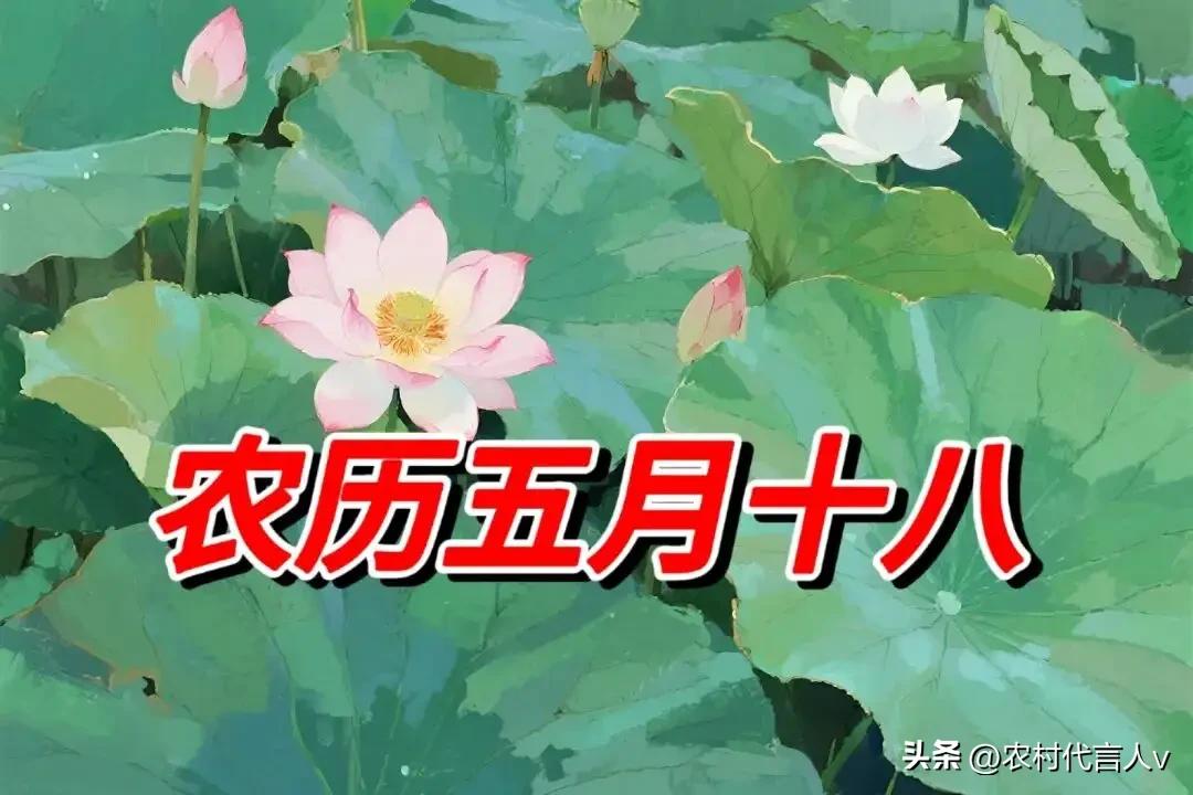 不是迷信，今日五月十八，记得：1不去，2不出，3不争，4不做
 
农历五月十八，